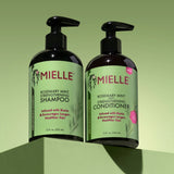 Mielle Rosemary Mint Strengthening Shampoo - 12OZ